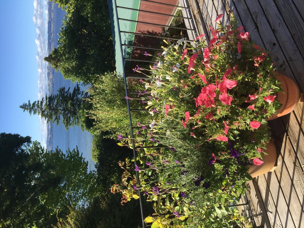 Lakeview Holiday Home Роторуа Екстер'єр фото